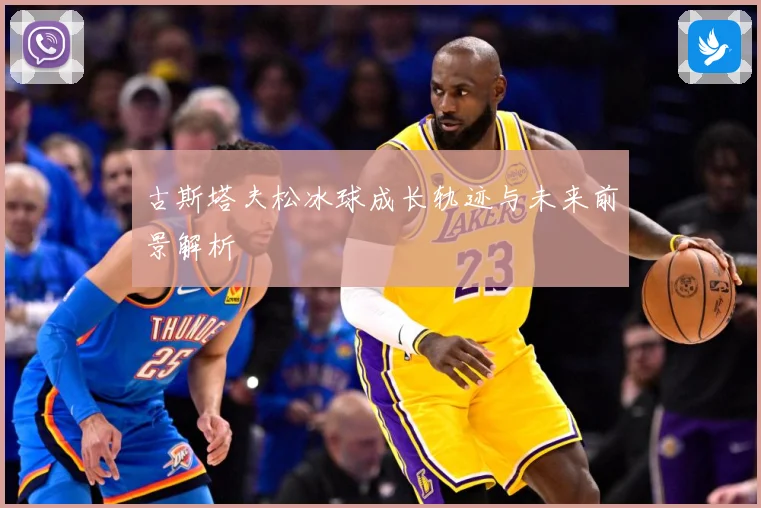 古斯塔夫松冰球成长轨迹与未来前景解析