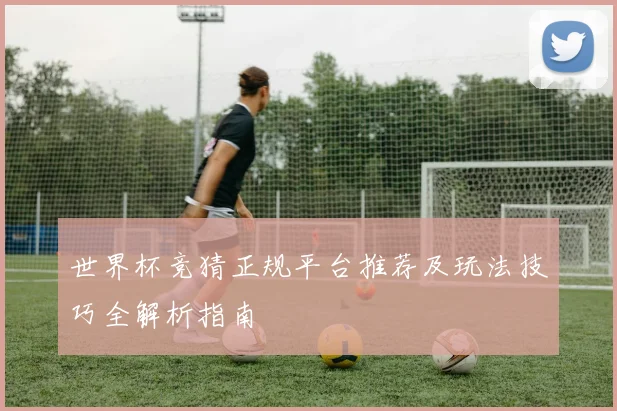 世界杯竞猜正规平台推荐及玩法技巧全解析指南