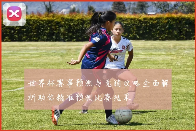 世界杯赛事预测与竞猜攻略全面解析助你精准预测比赛结果