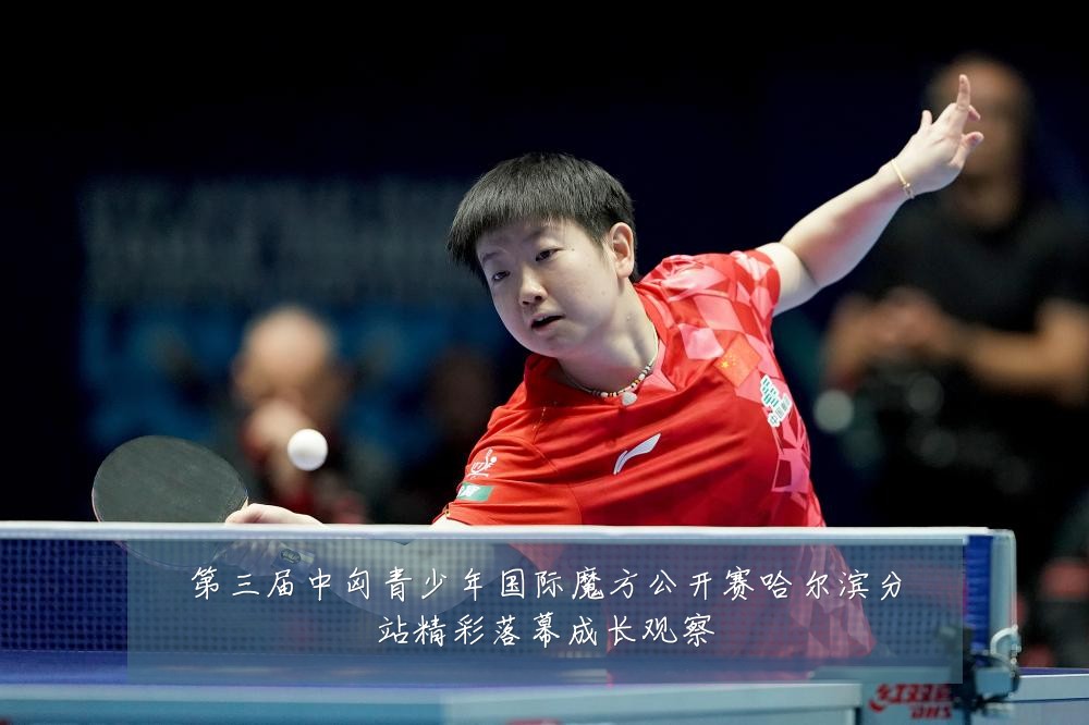 第三届中匈青少年国际魔方公开赛哈尔滨分站精彩落幕成长观察